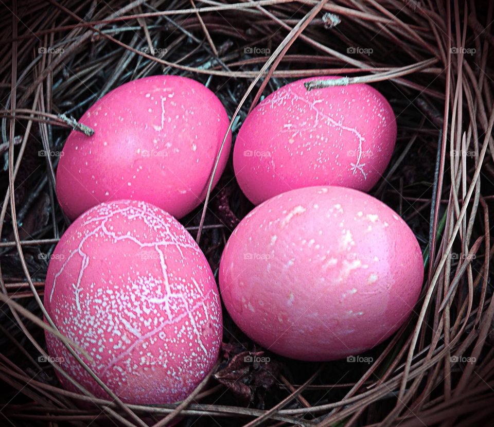 Pink eggs