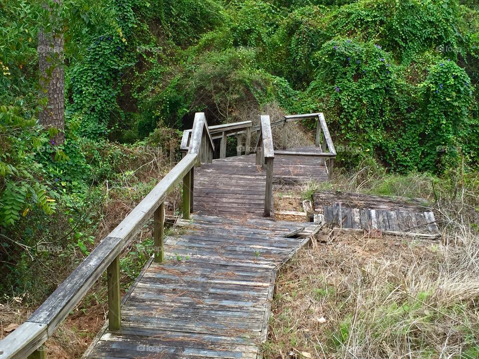 Wooden boardwalk and stairs on the bluff