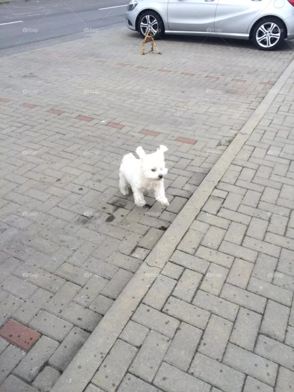 Run!