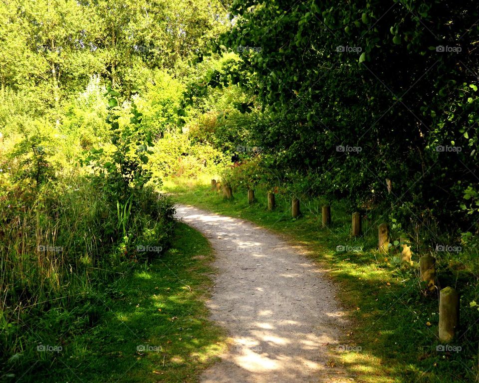 green path