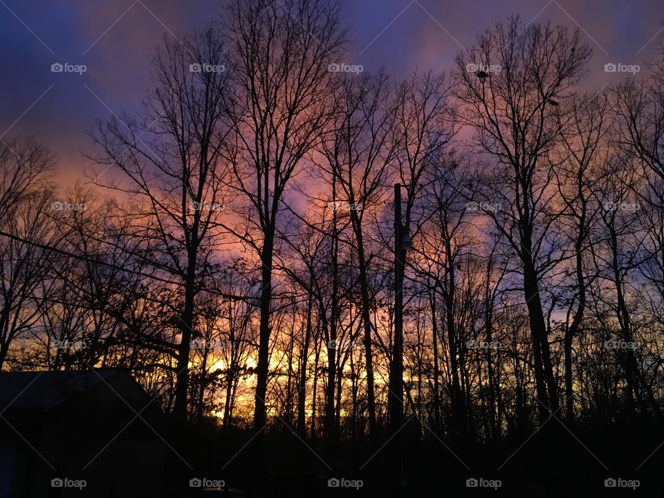 Colorful Sunset at Dusk with Trees Silhouette 