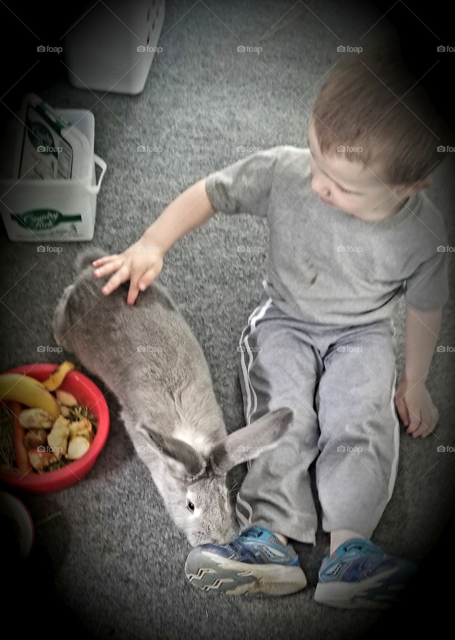 a boy and his bunny