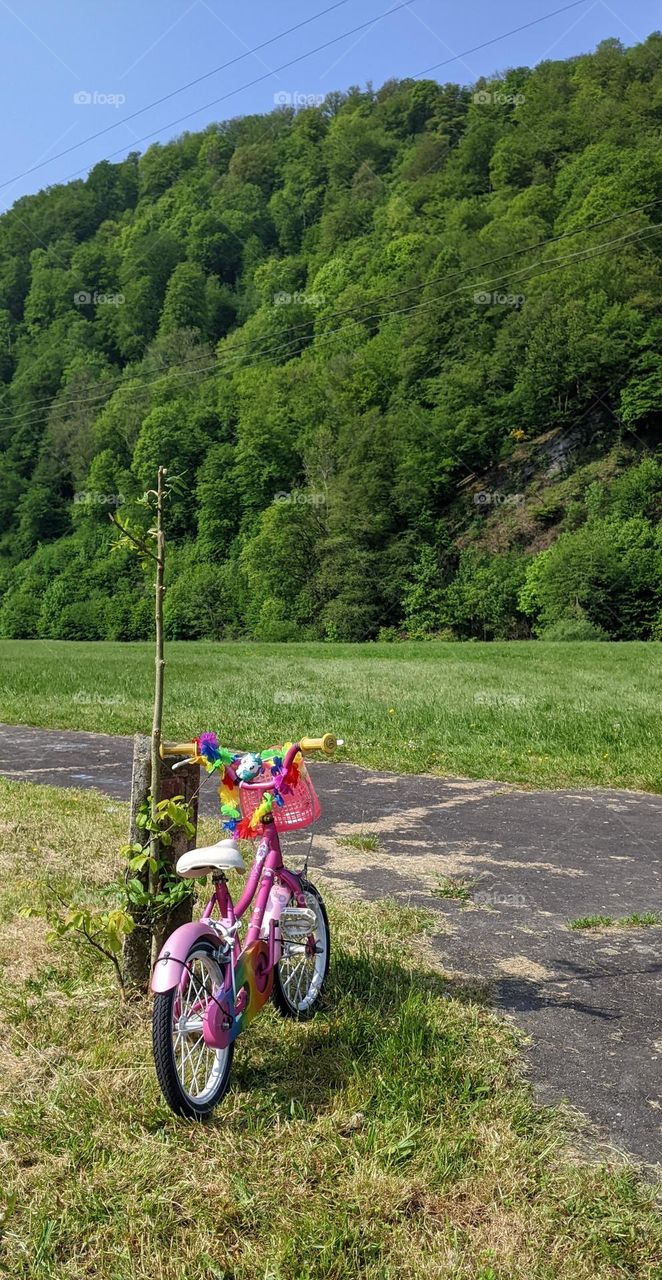 pink bike with flowers and a basket in the open fields of