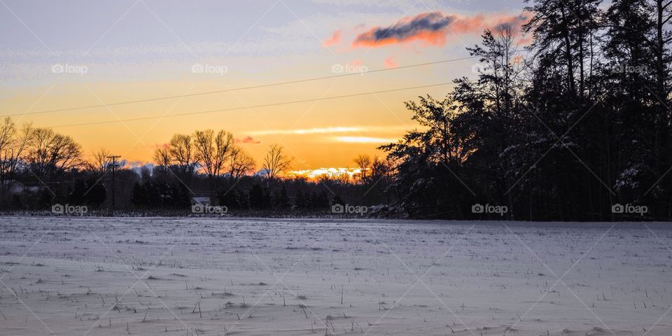 Snow Field Sunrise