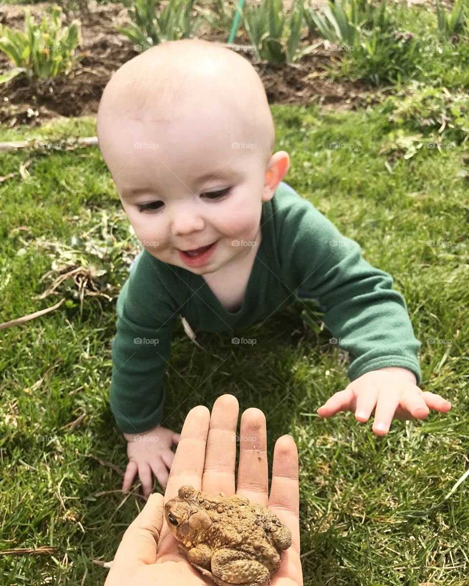 Baby meeting his first toad