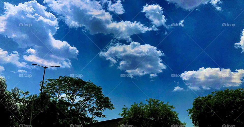 Photo of the month April