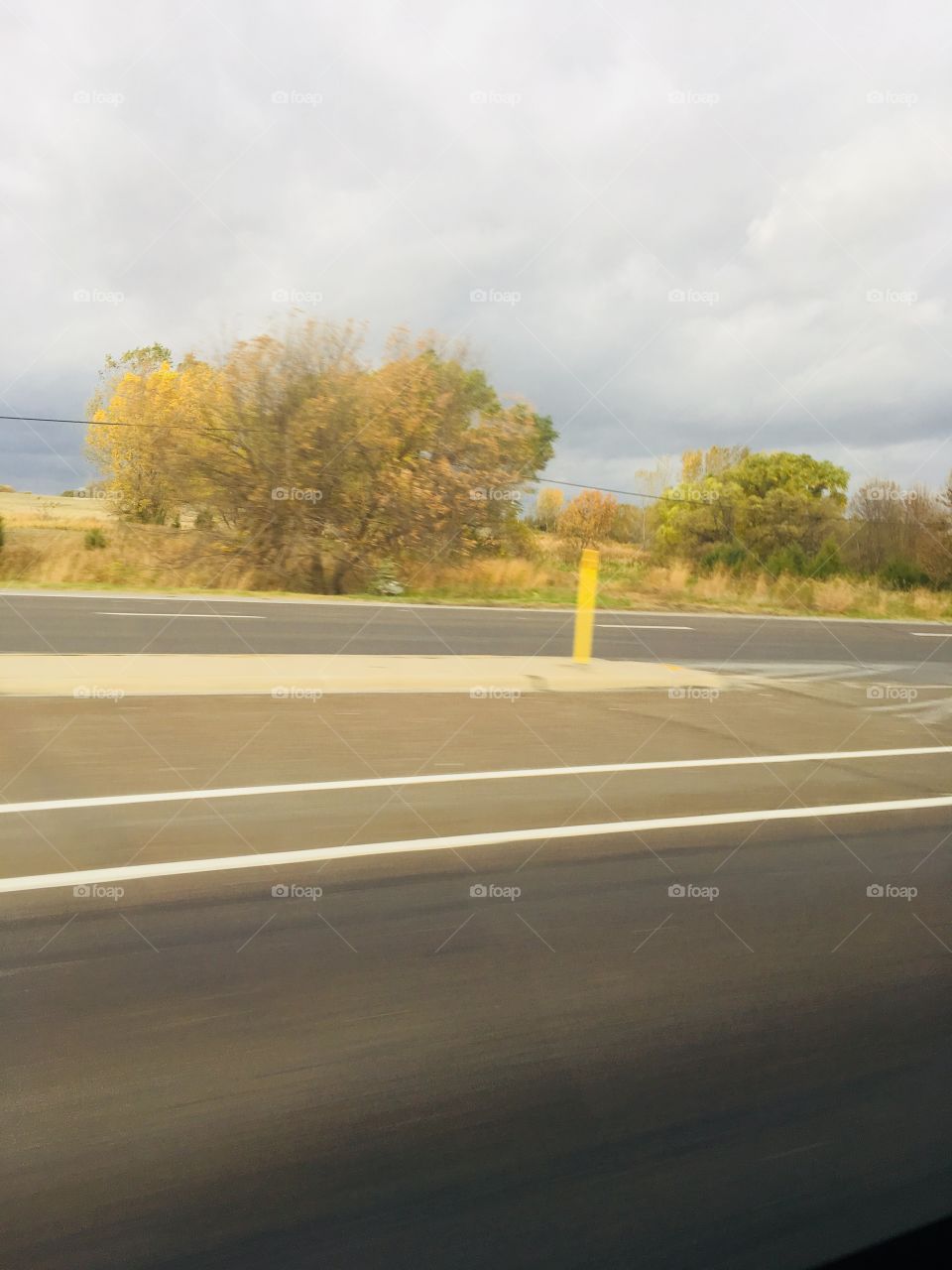 Landscape, Road, Tree, No Person, Highway