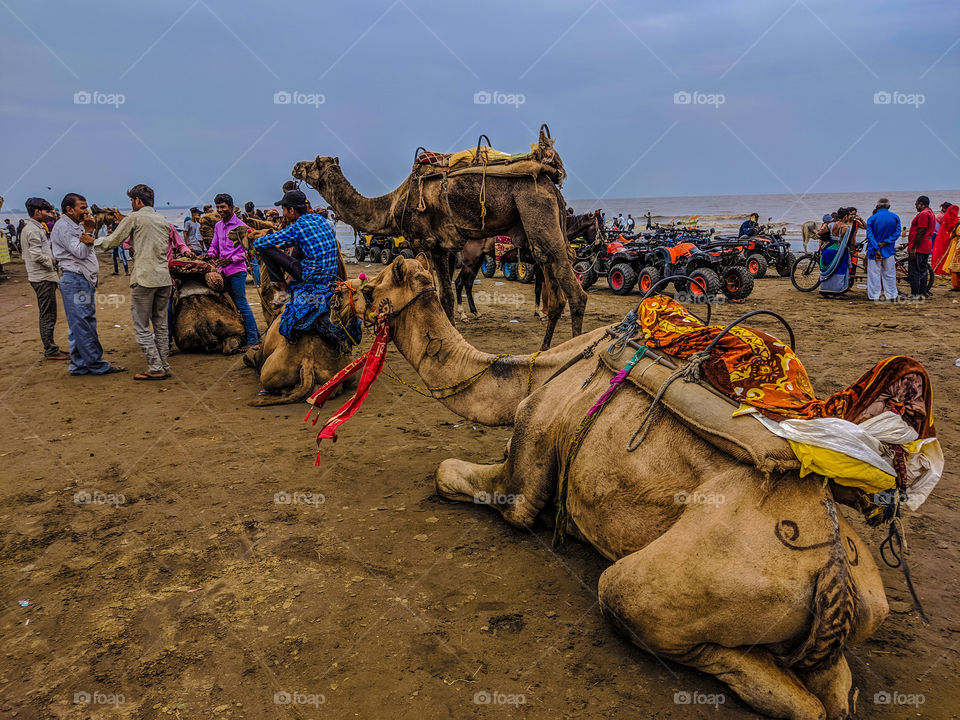 dumas beach, surat, gujarat, india