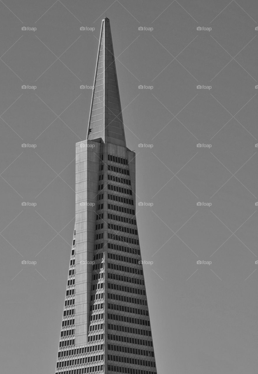 Black And White Architecture. San Francisco's Transamerica Pyramid