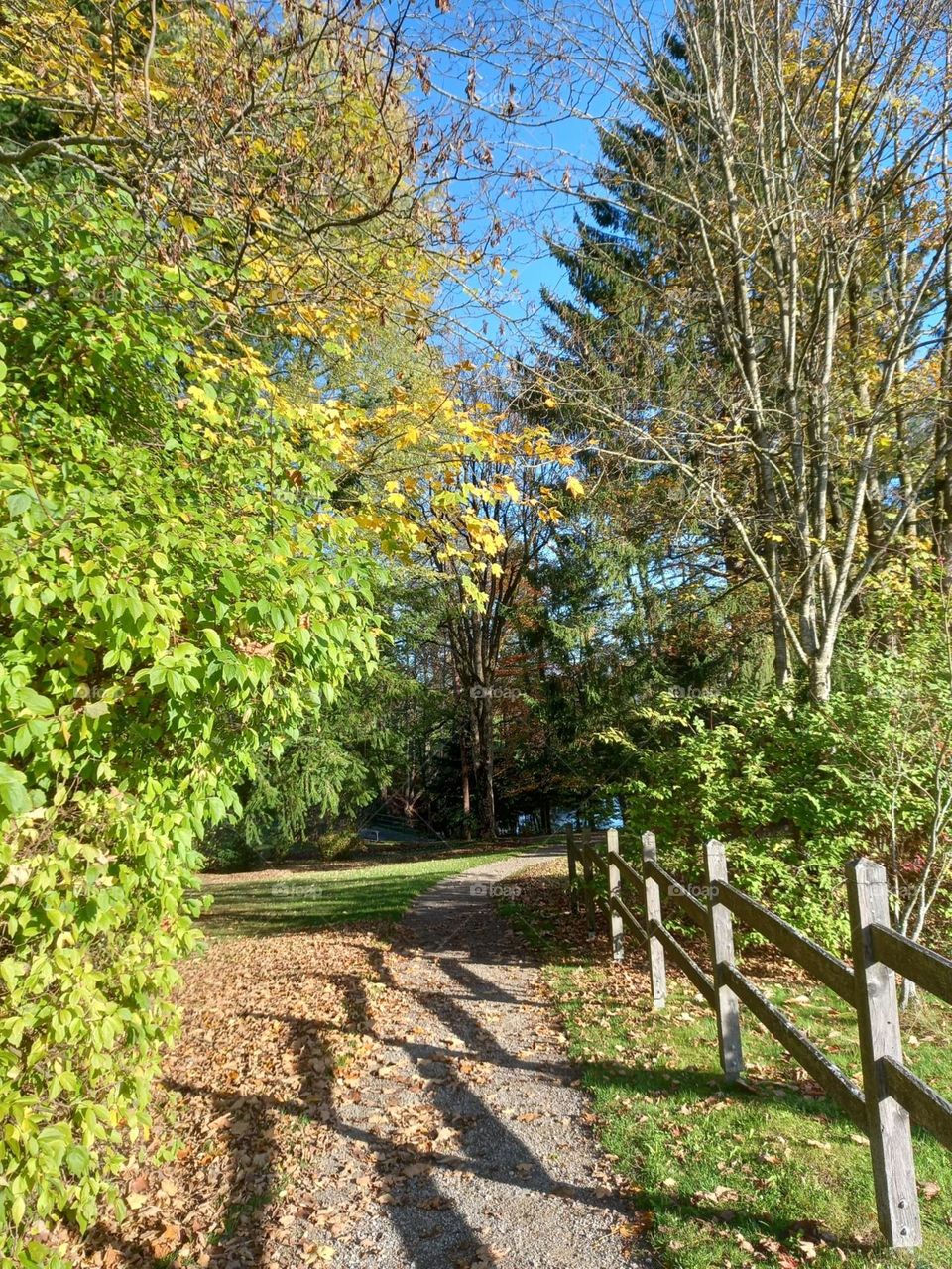 A Sunny Day in Autumn