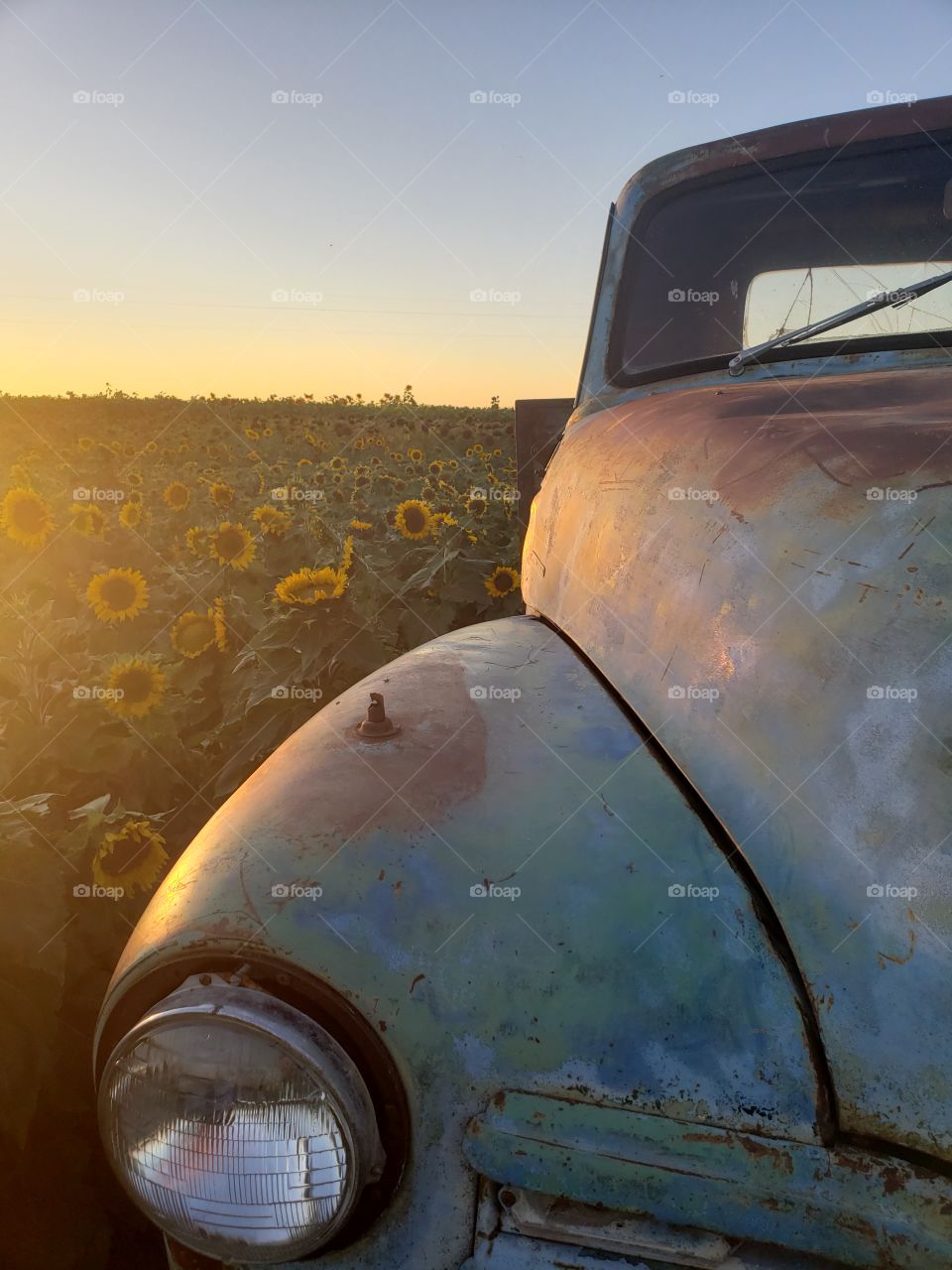 old farm truck in the autumn light