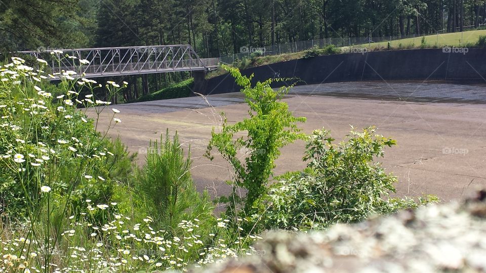bridge in Arkansas. bridge. Arkansas state park