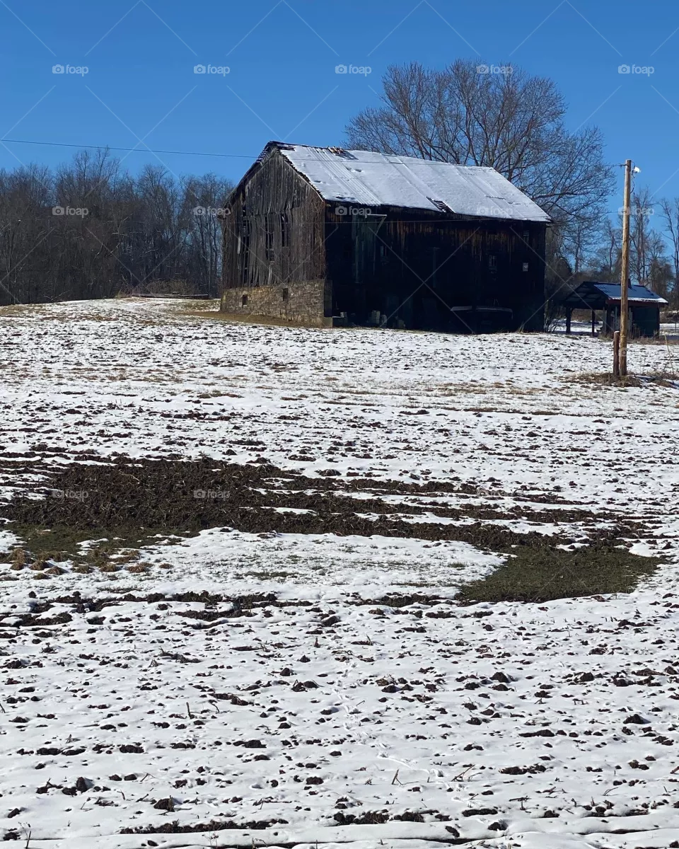 Winter at the barn 