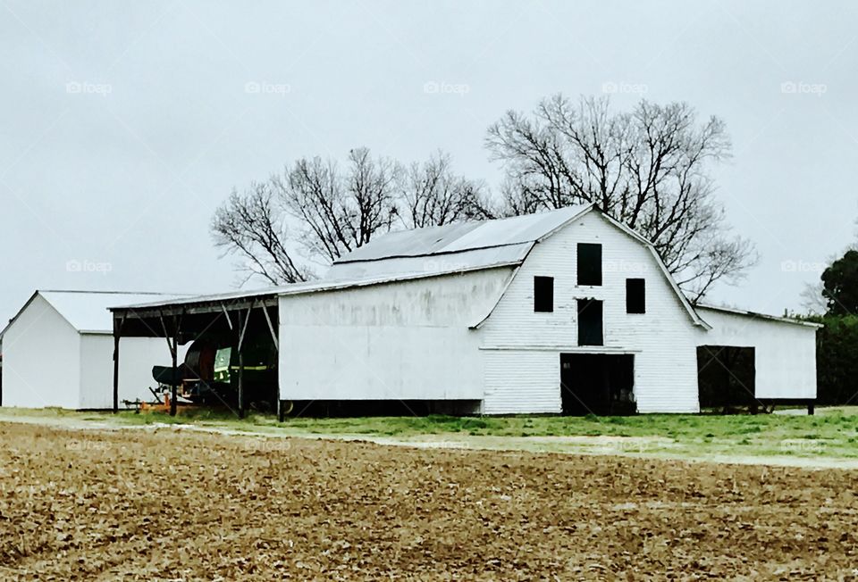 White Barn Gray Day