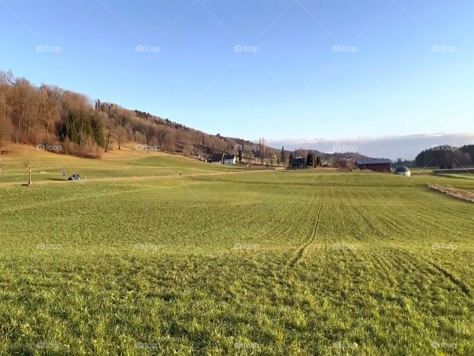 The most beautiful fields in Switzerland