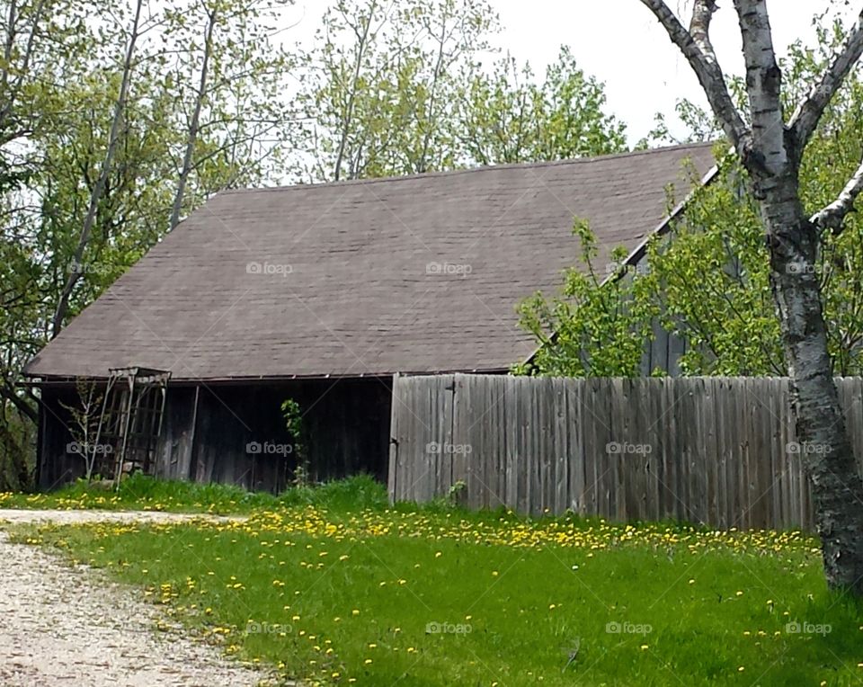 Barn Series. Old Barn