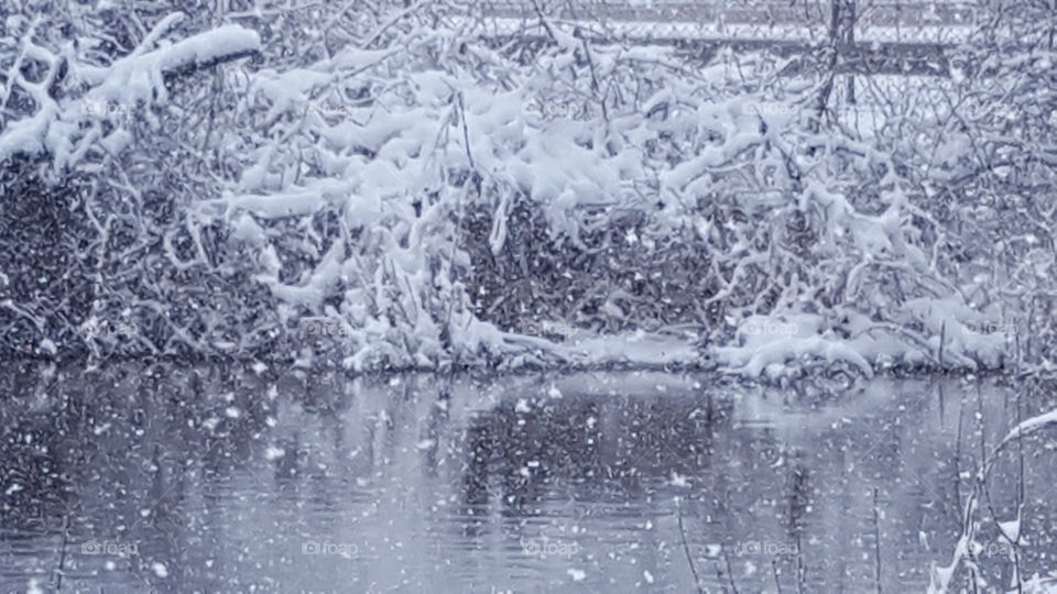 snowy riverbank