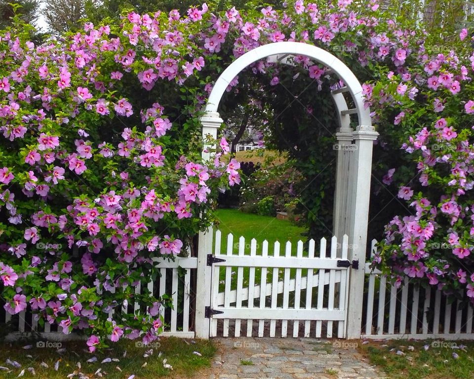 Entrance arch with flowers