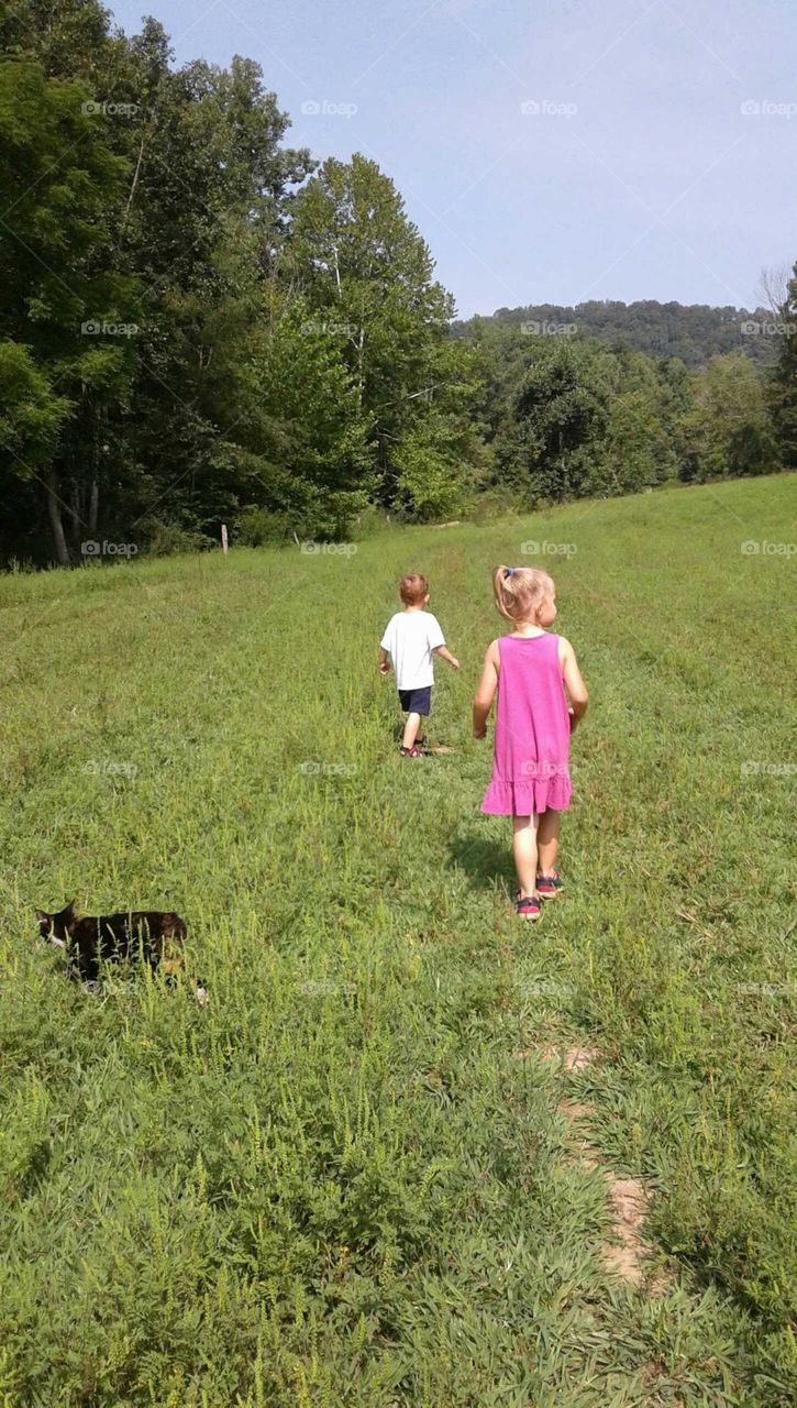 A walk on the farm