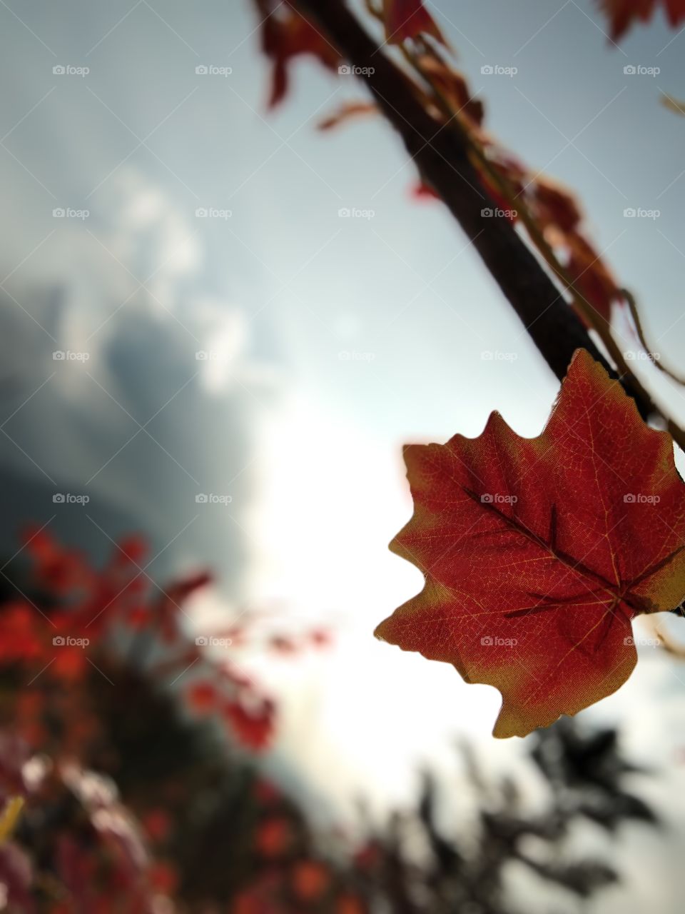 kebutuhan oksiken meningkat tidak di imbangi dengan pohon pohon yang semakin hari semakin berkurang, polusi pun semakin merajalela dan world pun makin panas π