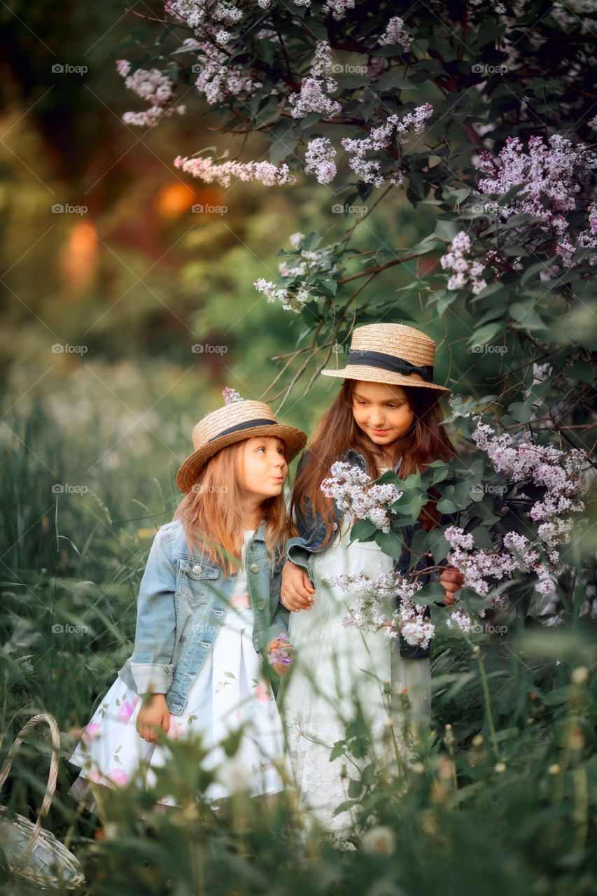 Little sisters in a hat near blossom lilac tree at sunset 