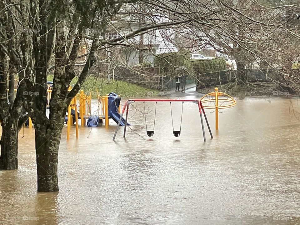 Flooded Park