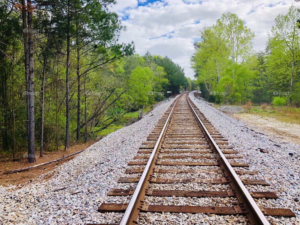 Train tracks between trees under a blue sky and clouds 