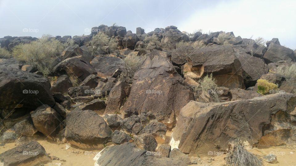 petroglyphs