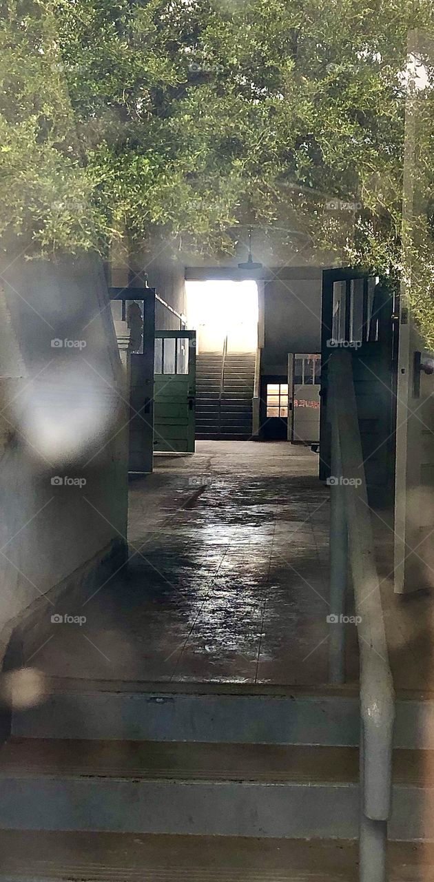 The Hallway of an Abandoned High School