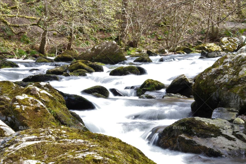 Water, Stream, River, Waterfall, Nature