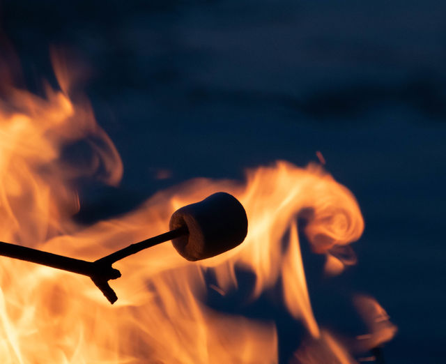 Roasted Marshmallow 