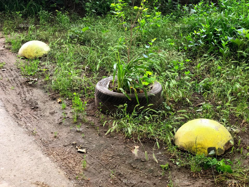 Yellow stones and car tire in the green grass