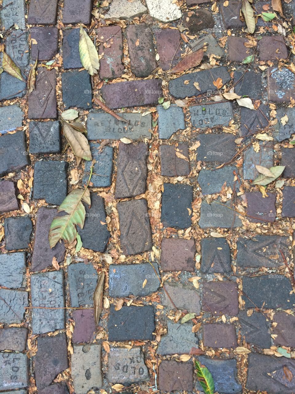 St. Augustine brick pathway with leaves
