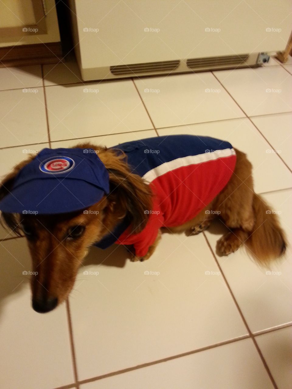 Frank wishing cubs luck in playoffs
