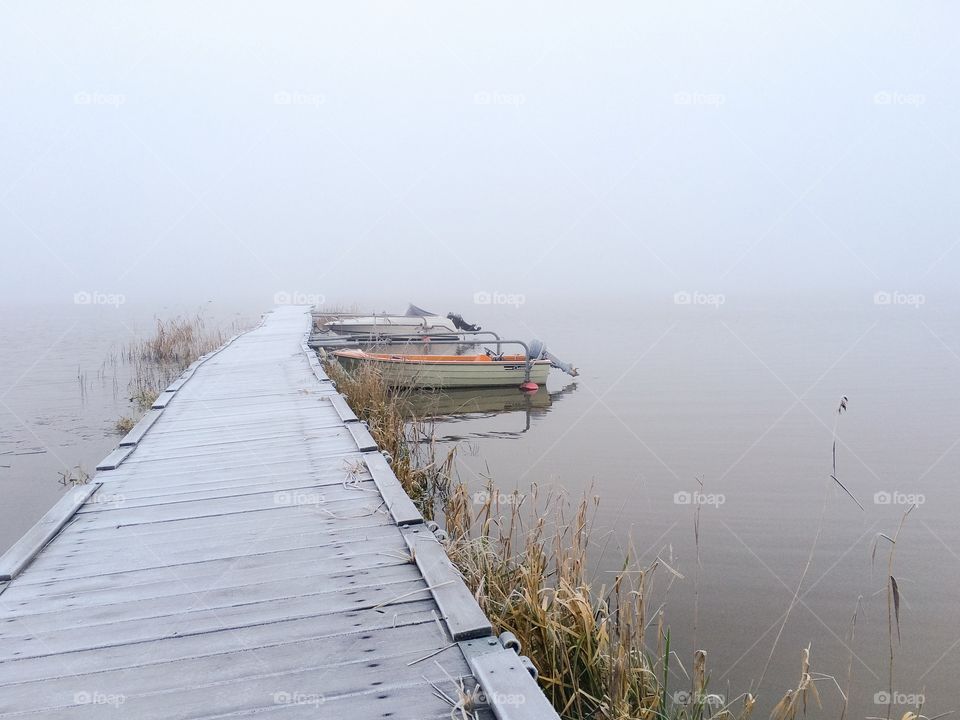 A foggy day