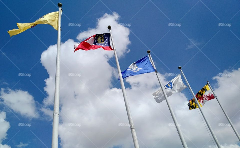 Favorite Flags