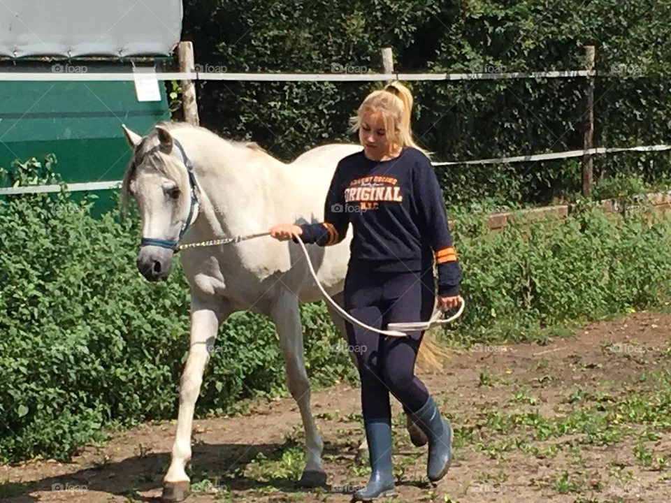 Stallion Markus good horse