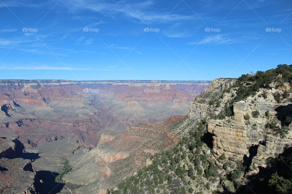 Grand Canyon View
