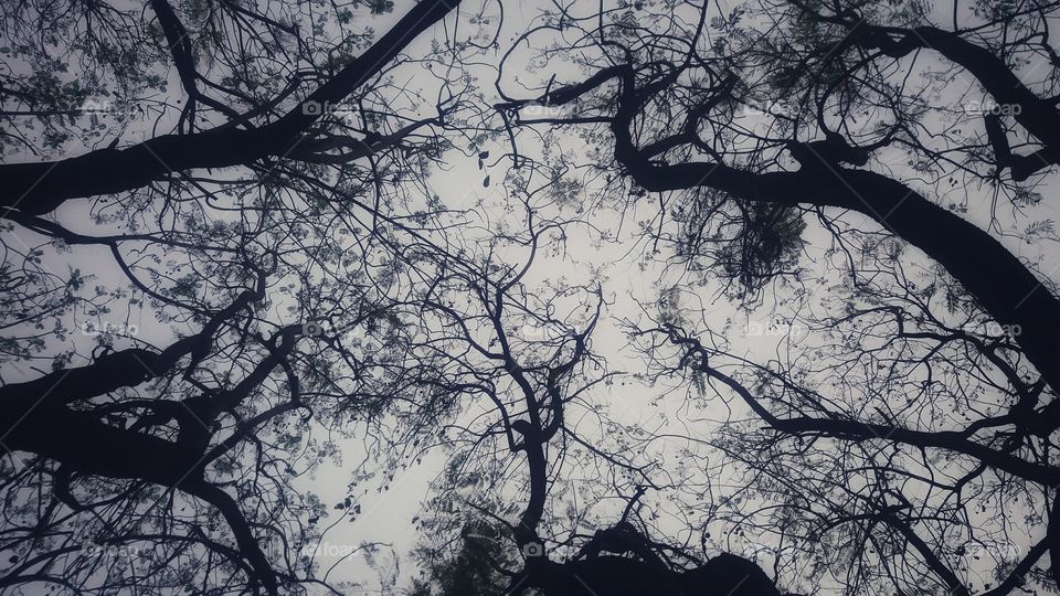 The mess of life has a grace in it...