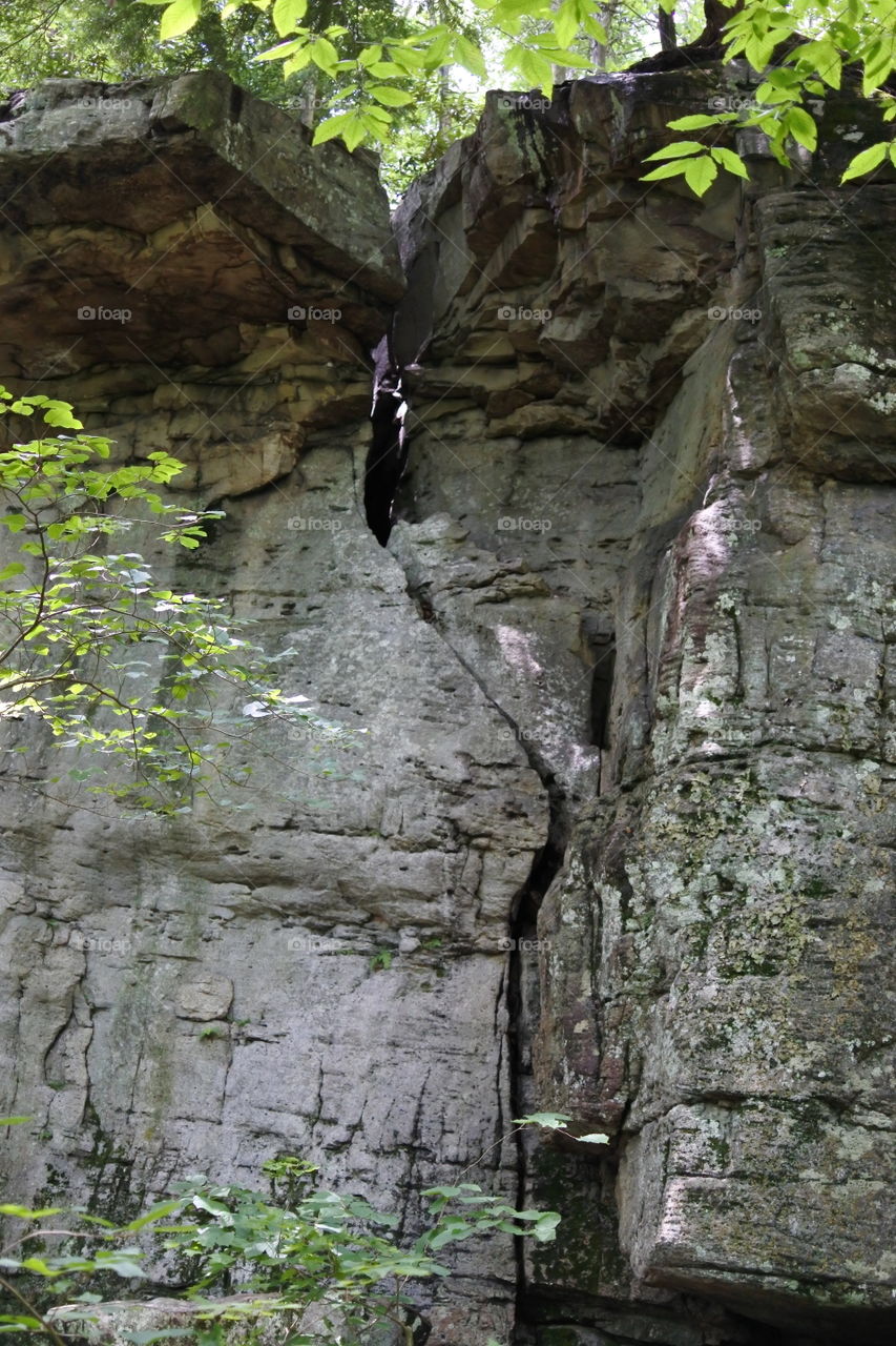 Meadow Run Trail in Ohiopyle, PA