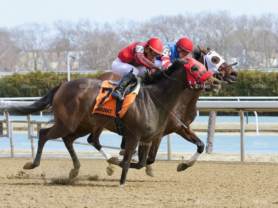 Racing from Aqueduct by Fleetphoto