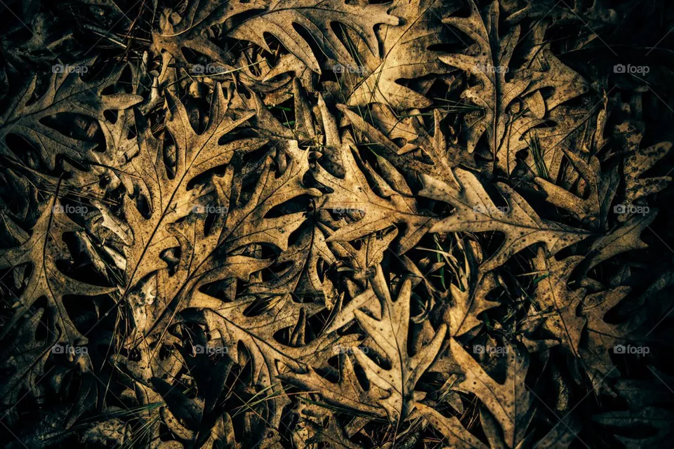 Decay
