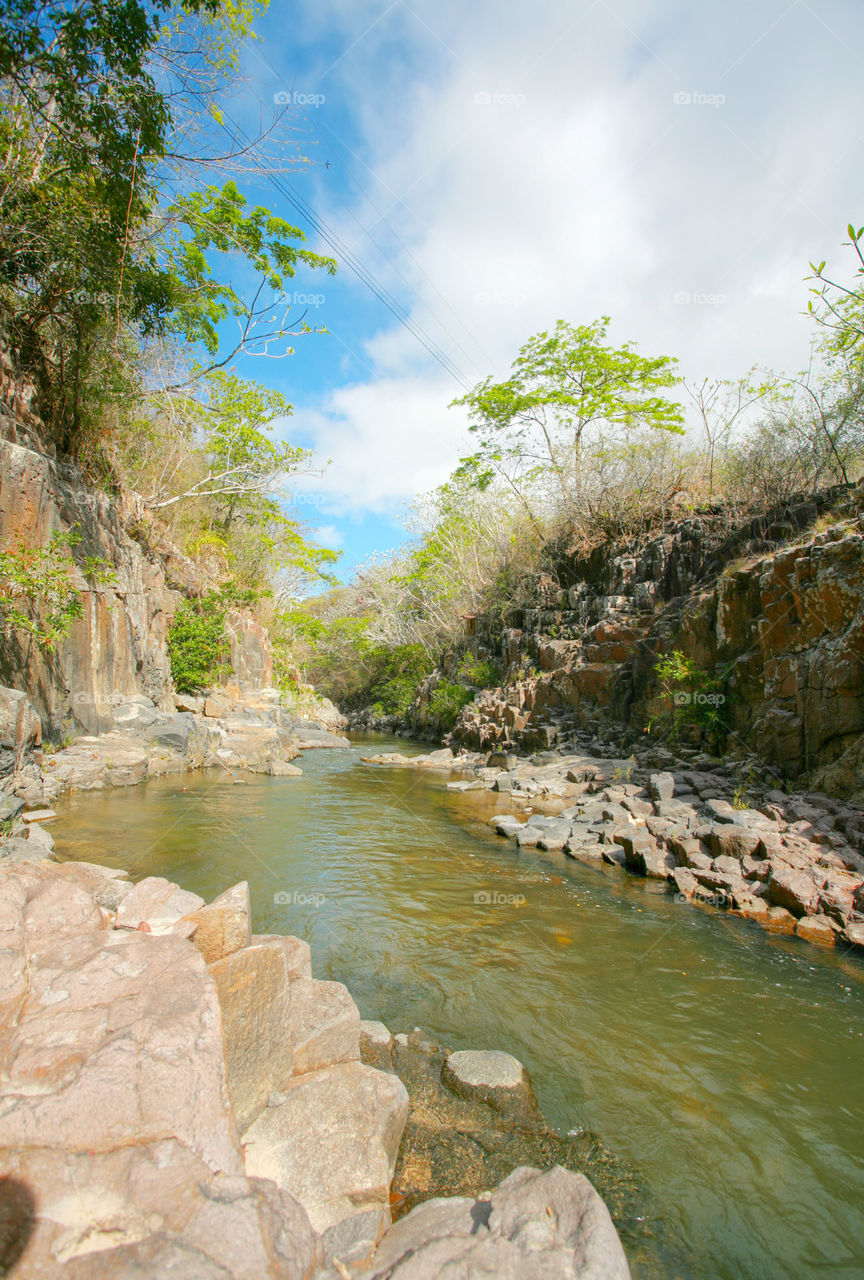 stream in the tropical forest.