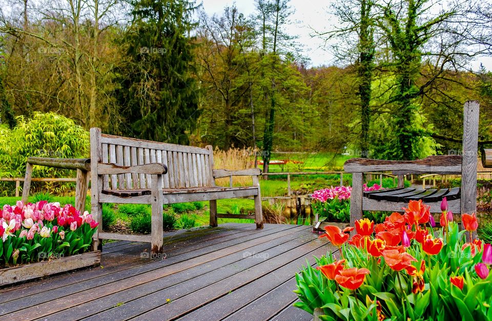 Lush landscaped garden with flowerbed