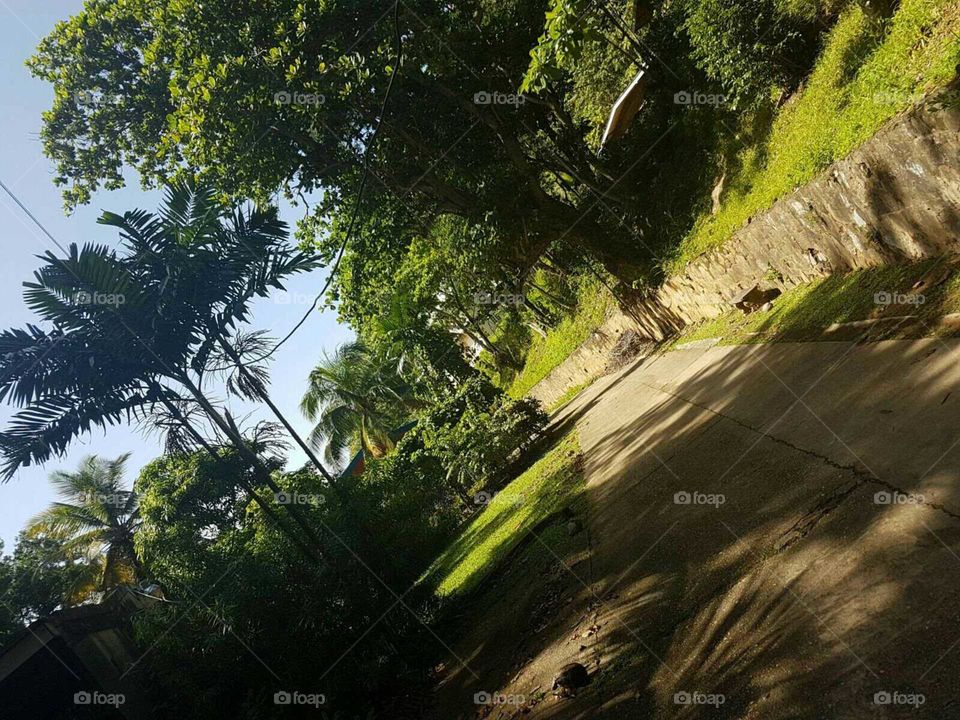 Monos island, Trinidad