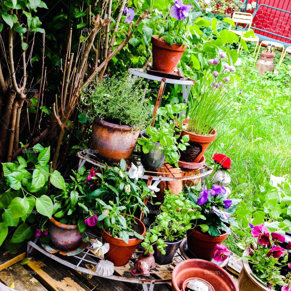 lush garden detail