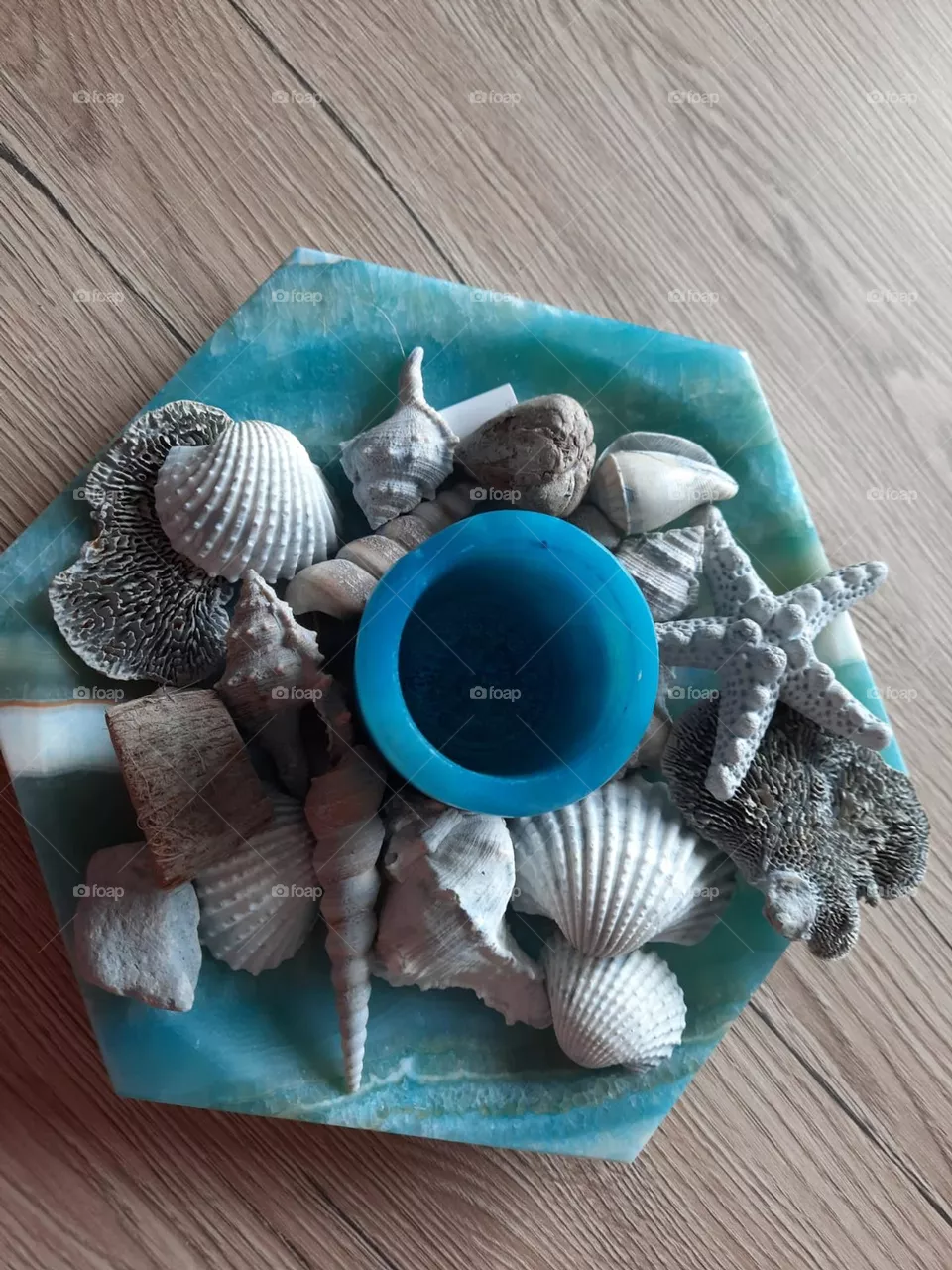 Türkis Dekoration Muschel 