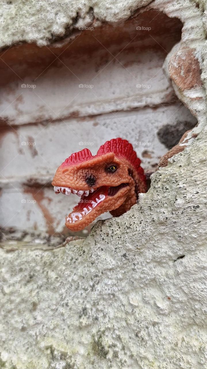 dinosaur waking up