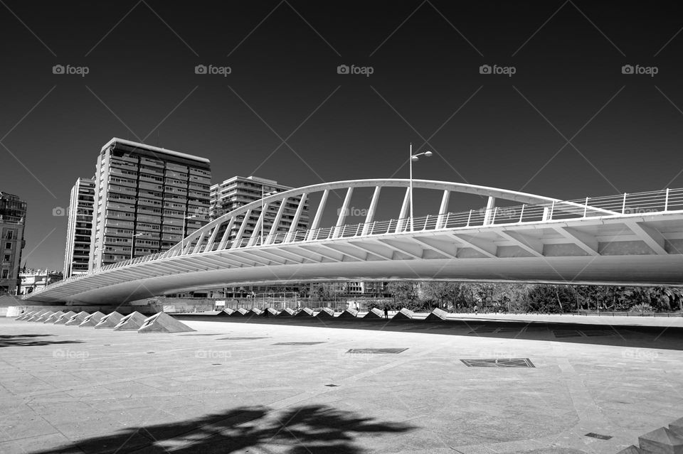 Puente de las Flores bridge. Valencia. Spain.