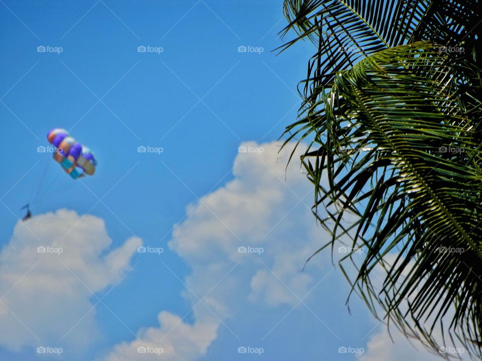 Parasailing In The Tropics